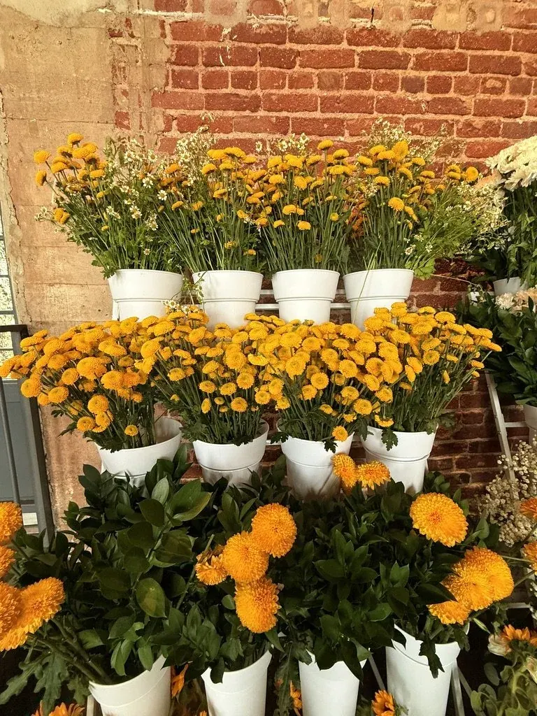 Tiered buckets of yellow and orange mums at a bouquet bar